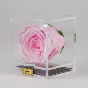 COMBO LE BOUQUET